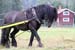 Bild_31