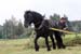 Bild_32