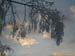 Vinter1