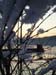Vinter10