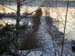 Vinter27