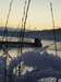Vinter9